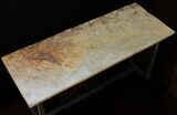Fossilized Pennsylvanian Microbial Mat Table - Oklahoma #39098-1